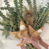 Eucalyptus SHOWER BUNDLE - Image 2